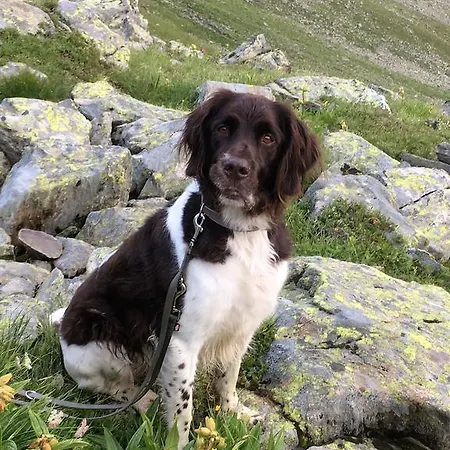 Apartman Garten Lutz