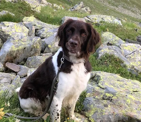 Apartment Garten Lutz